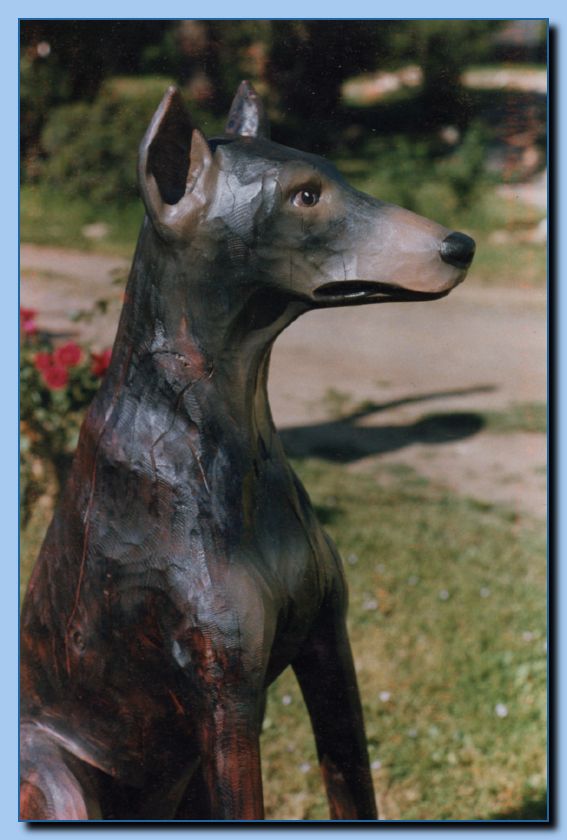 2-57 dog-doberman-archive-0002